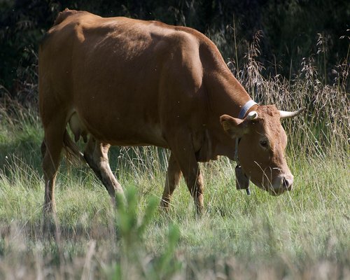 Suasana ruang baca yang damai